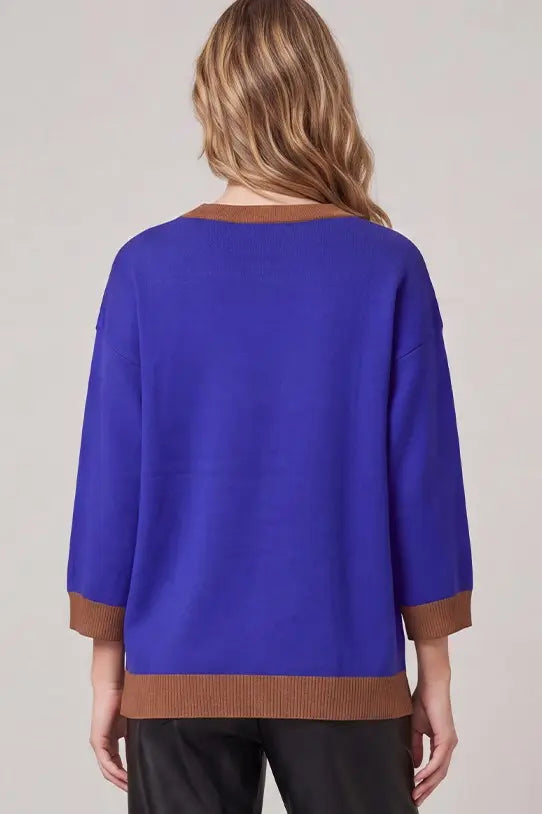Royal Blue and Brown Sweater