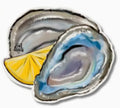 Oyster Mini Attachment