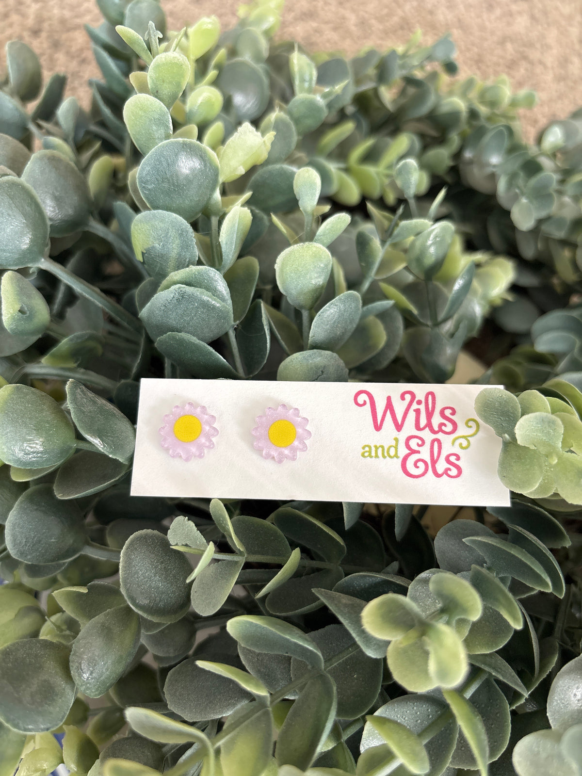 Purple Daisies